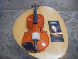 obrázek Viola Strunal Luby