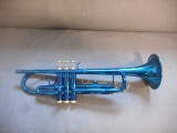 obrázek B trumpeta Dinavery