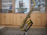 obrázek Alt saxofon Toneking