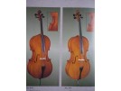 Violončello polomasivní 1/4 LUBY 4/17 