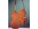 Kontrabass 1/2 polomasiv LUBY 5/20